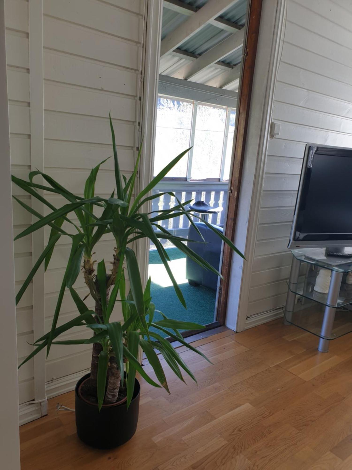 Holiday Home Gol Exterior foto